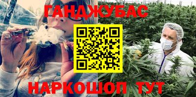 прущие грибы Можга