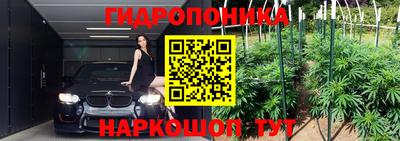 мдпв Мариинск
