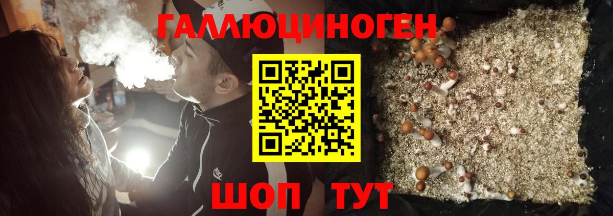 Галлюциногенные грибы Magic Shrooms Дивногорск