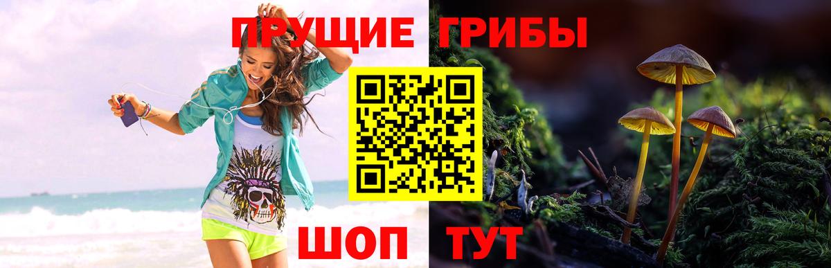 Метамфетамин  Кокаин  Каннабис  НБОМе  Вход с VPN  Дивногорск  A PVP СОЛЬ кристаллы  Мефедрон кристаллы  Гашиш 