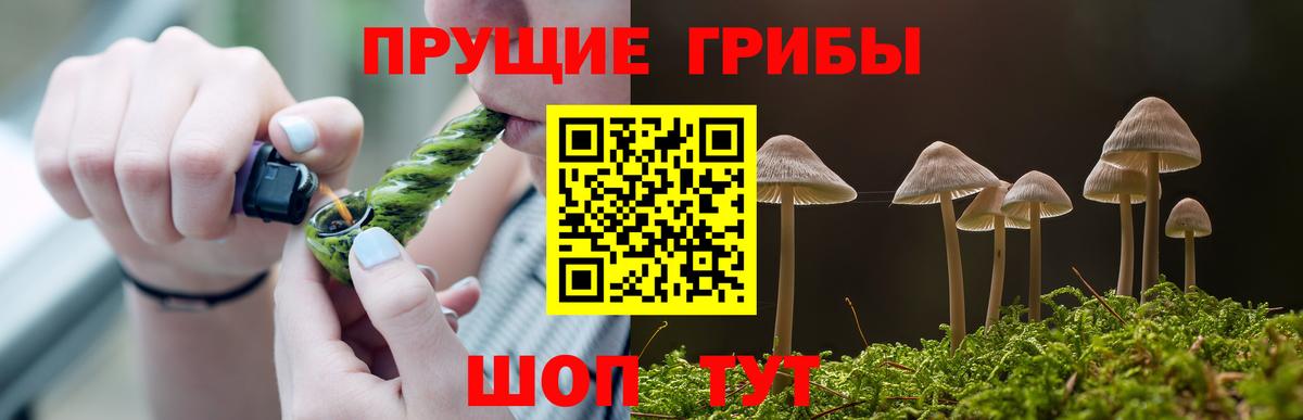 Галлюциногенные грибы ЛСД  Вход с VPN  Дивногорск  Галлюциногенные грибы MAGIC MUSHROOMS 